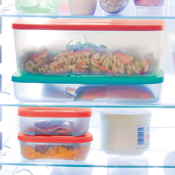 Freezer Storage 450ml Set(4) – TUPPERWARE-KSA